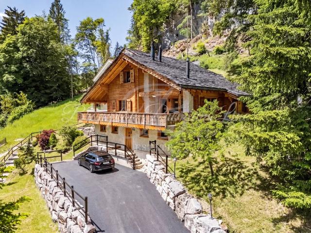 Haus kaufen in Saint-Cergue, Waadt