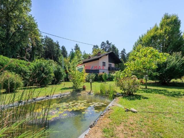 Haus kaufen in Grafenstein, Kärnten