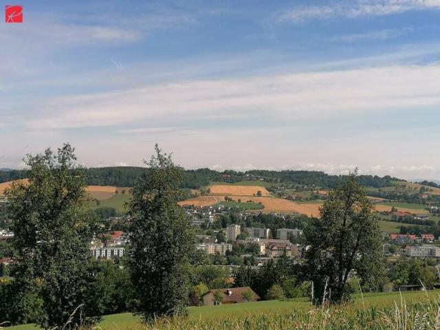 Haus kaufen in Bad Schallerbach