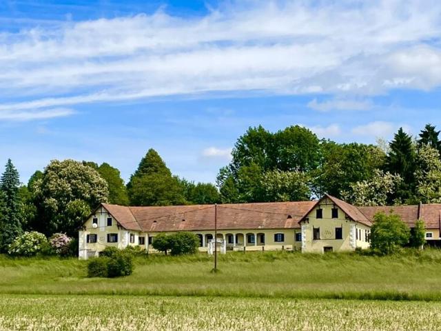 Haus kaufen in Bad Waltersdorf
