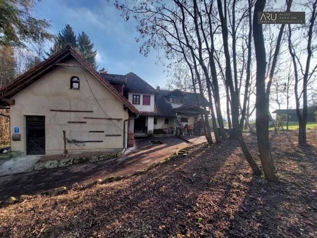 Haus kaufen in Burgauberg-Neudauberg