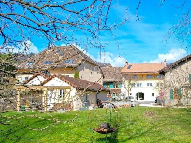 Haus kaufen in Féchy, Waadt