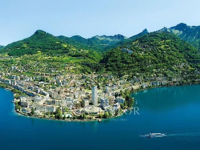 Haus kaufen in Montreux, Waadt