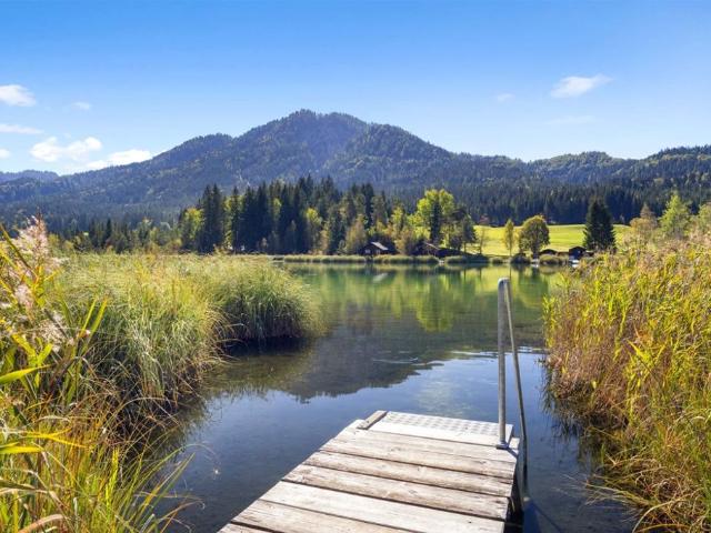 Haus kaufen in Oberdorf, Velden am Wörther See
