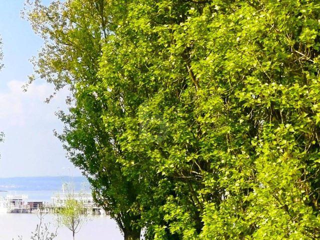 Haus kaufen in Podersdorf am See, Burgenland