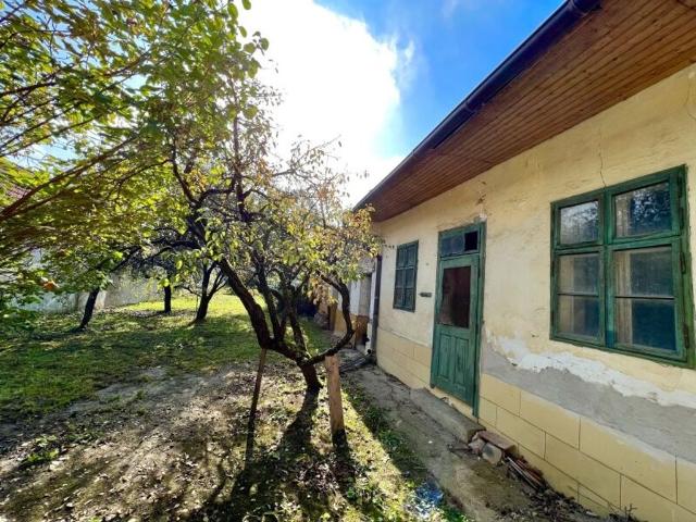 Haus kaufen in Seefeld-Kadolz, Niederösterreich