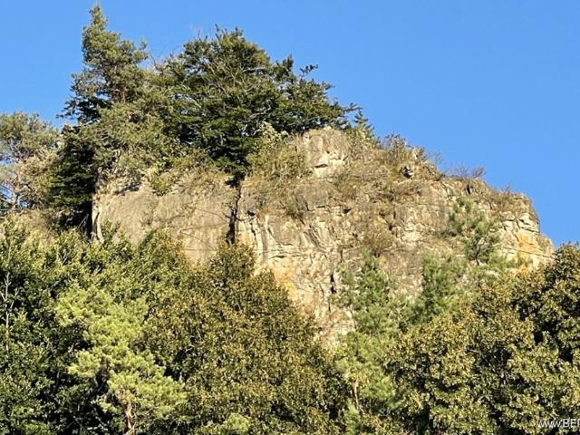 Gewerbe kaufen in Mürlenbach, Landkreis Vulkaneifel