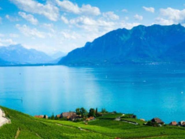 Atelier kaufen in Crans-près-Céligny, Waadt