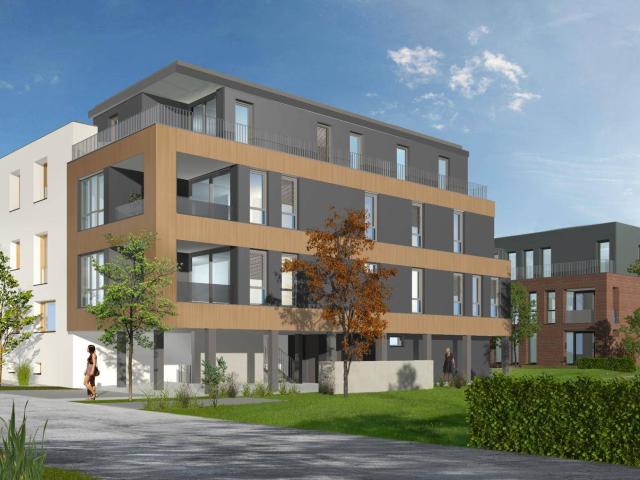 Apartment kaufen in Neuhofen an der Krems, Gries