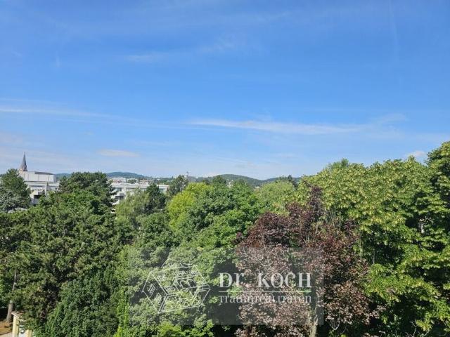 Penthouse kaufen in Wien