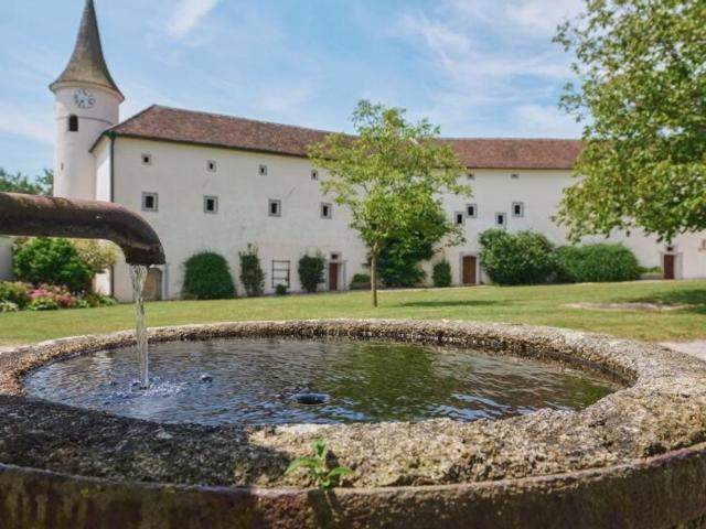 Schloss kaufen in Großweichselbach, Sankt Leonhard am Forst