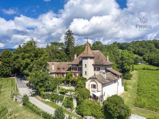 Immobilie kaufen in Begnins, Waadt