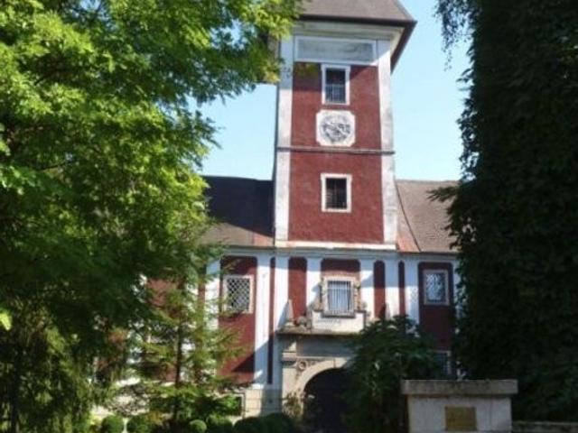 Schloss kaufen in Neuhofen an der Krems, Oberösterreich