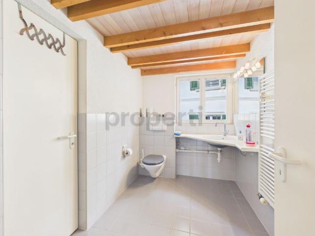 Apartment mieten in Hausen am Albis, Zürich
