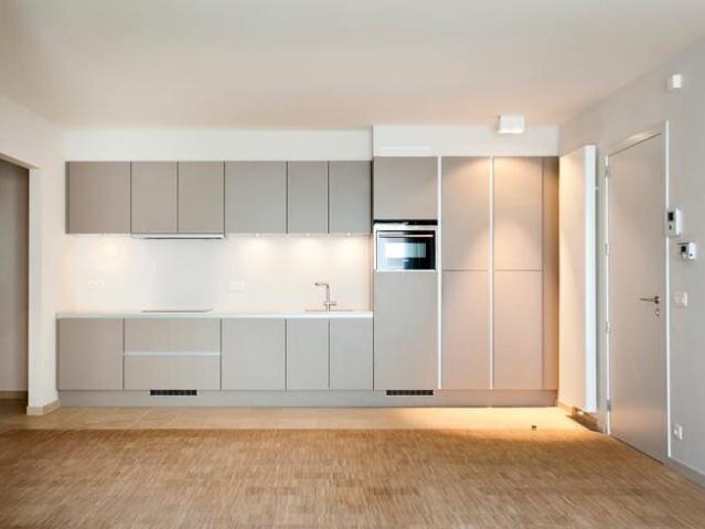 Kot location à Antwerpen