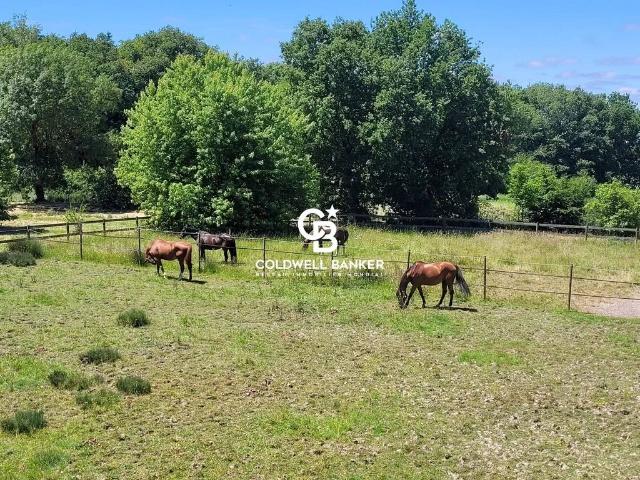 Maison vente à France métropolitaine, Saintes