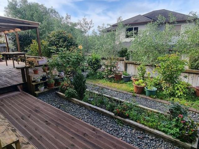 House for rent in Mission Heights, Howick