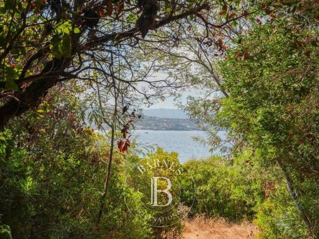 Maison vente à France métropolitaine, Grosseto-prugna