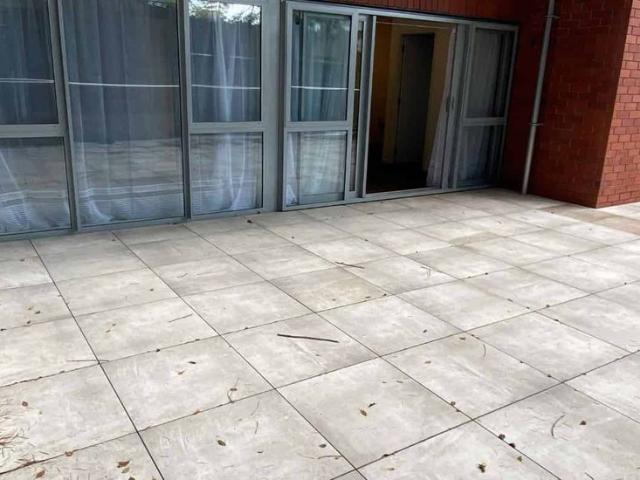 Apartment for rent in Saint Lukes, Albert-Eden