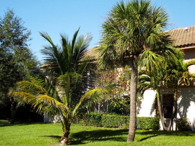 House for rent in Boca Raton, Florida