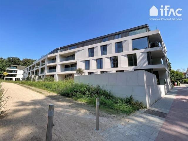Appartement location à Montaigu-zichem, Brabant