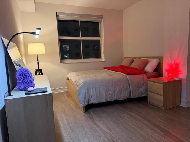 Room for rent in Miami, Florida