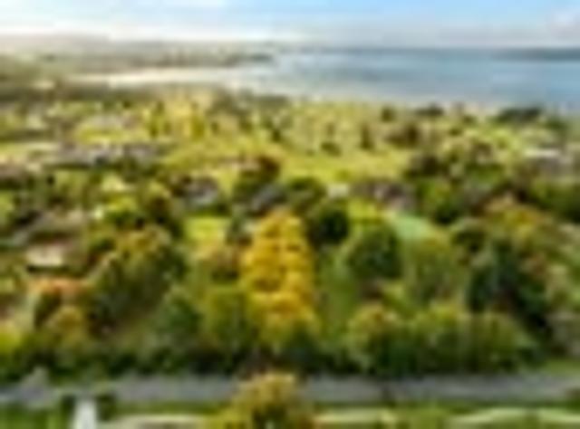 Land for sale in Whakamarama, Bay Of Plenty