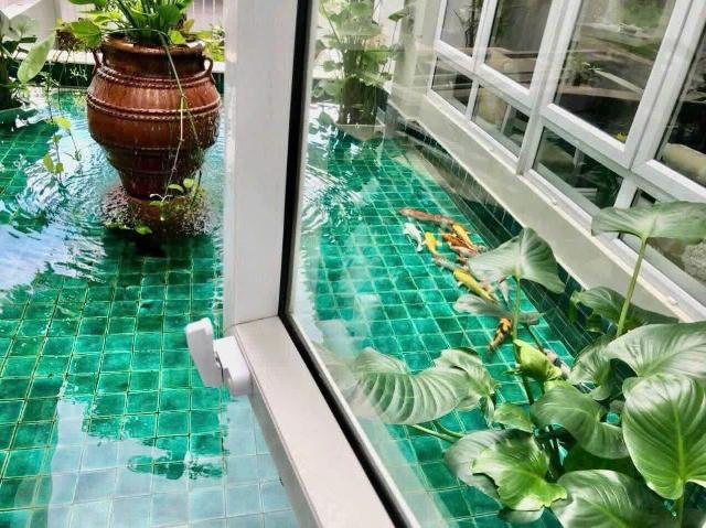 Bất động sản cho thuê tại Khu phố 12, Thành phố Hồ Chí Minh
