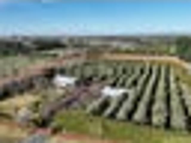 House for sale in Mandeville North, Canterbury