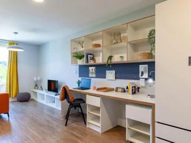 Studio for rent in Tilbury Fields, Dromore