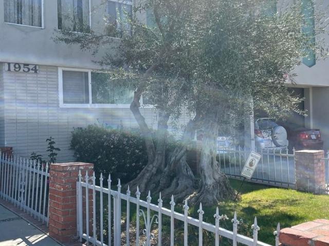 Apartment for rent in Canoga Park, California