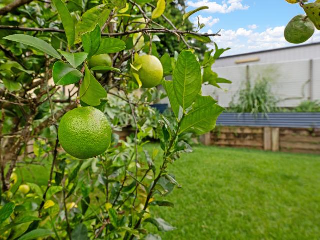 House for sale in Kings Creek, Queensland
