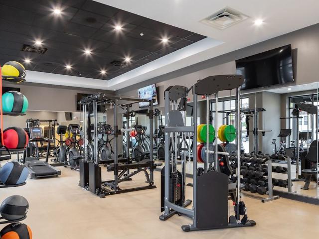 Apartment for rent in Royal Oak