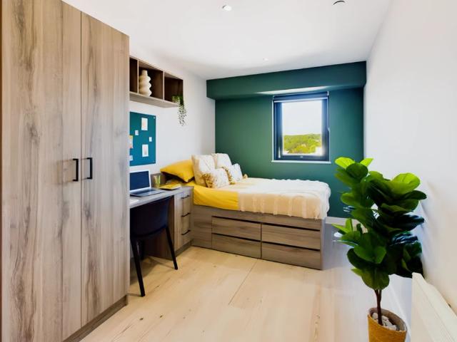 Studio for rent in Haddon, East Midlands