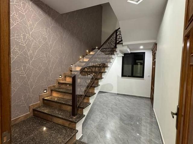 Property for rent in اسلام آباد, زون 1