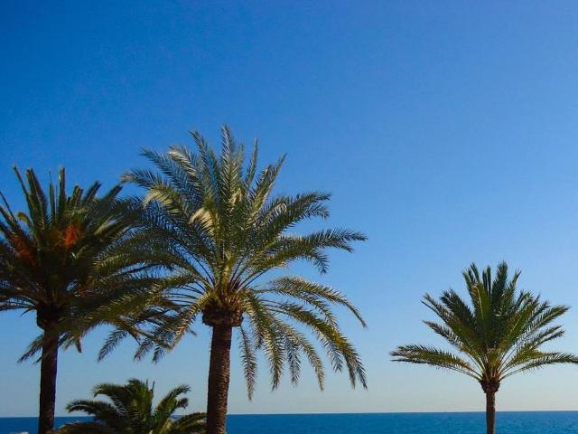 Casa en alquiler en Costa del Sol Occidental, Andalucía