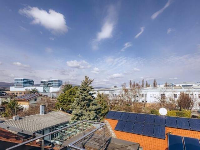 Apartment kaufen in Brunn am Gebirge, Niederösterreich