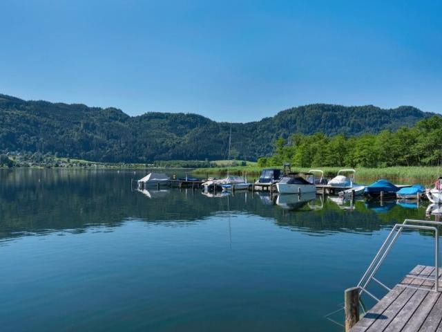 Apartment kaufen in Steindorf am Ossiacher See, Kärnten