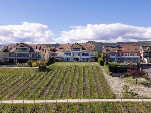 Apartment kaufen in Bursinel, Waadt