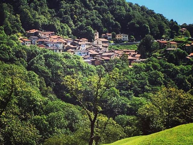 Apartment kaufen in Alto Malcantone, Tessin
