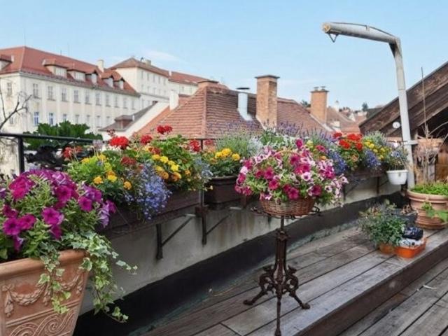 Apartment mieten in Krems an der Donau