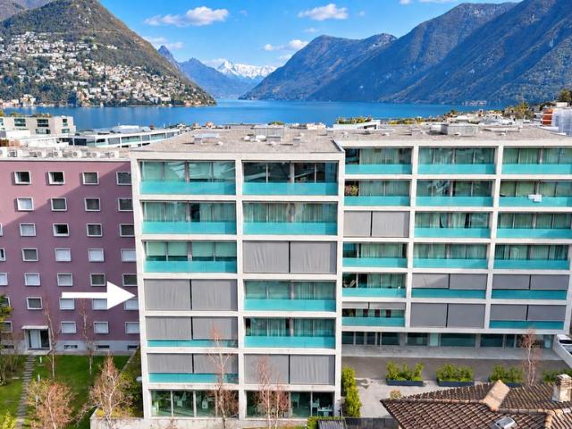 Apartment kaufen in Paradiso, Tessin