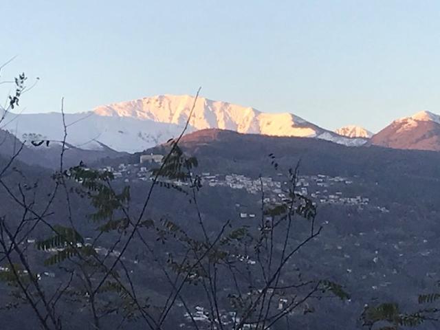 Apartment kaufen in Collina d'Oro, Tessin