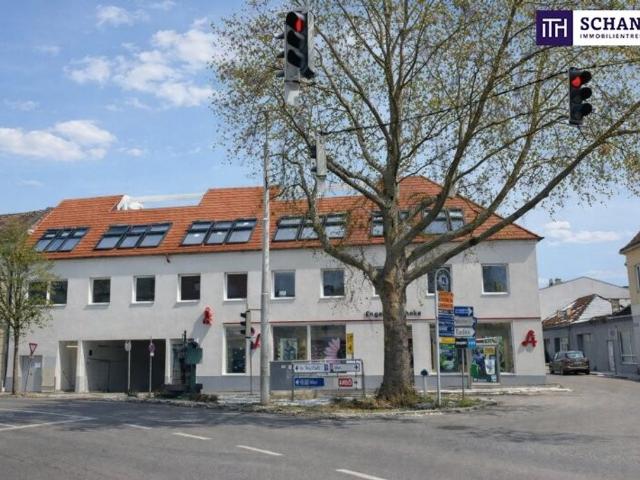 Apartment kaufen in Traiskirchen, Niederösterreich