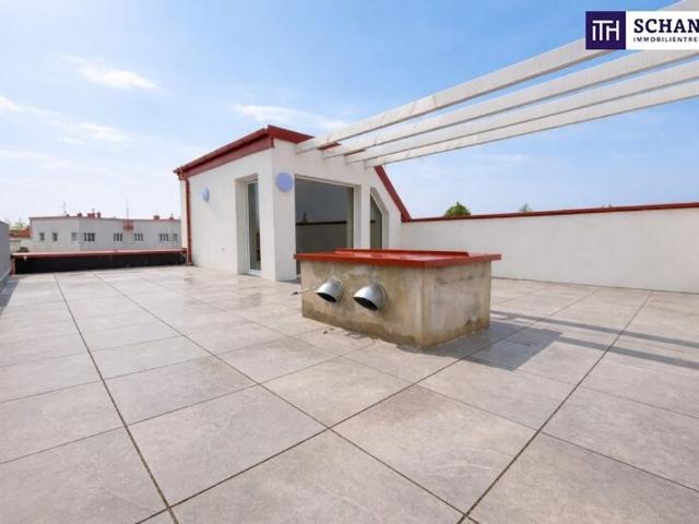 Apartment kaufen in Traiskirchen, Niederösterreich