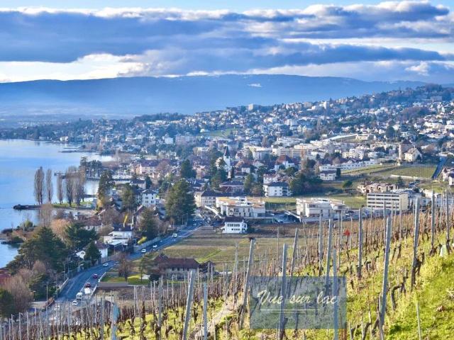 Apartment kaufen in Bourg-en-Lavaux, Waadt