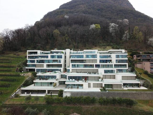 Apartment kaufen in Paradiso, Tessin