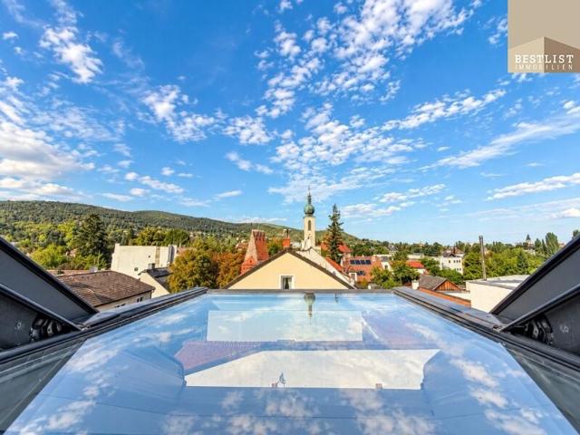Apartment kaufen in Baden, Niederösterreich