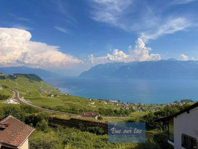 Apartment kaufen in Bourg-en-Lavaux, Waadt