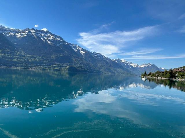 Apartment kaufen in Oberried am Brienzersee, Bern